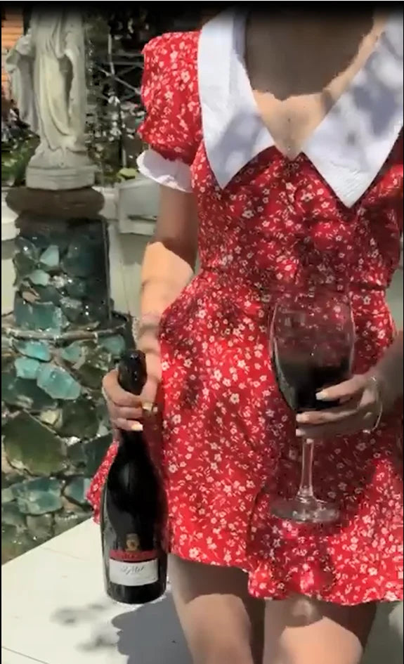 Red Floral Print Peter Pan Collar Women Summer Dress Puff Sleeve V Neck A-line Mini Dresses  2026 Lady Weekend Getaway Vestidos