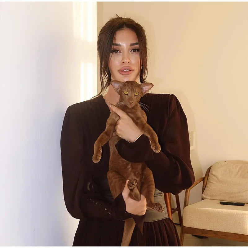 Vintage Nipped Waisted Long Sleeved A-line Dress Elegant V Neck Split Long Dresses 2024 Women Loose Vintage Party Long Dresses