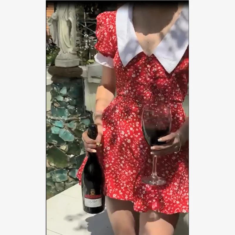 Red Floral Print Peter Pan Collar Women Summer Dress Puff Sleeve V Neck A-line Mini Dresses  2026 Lady Weekend Getaway Vestidos
